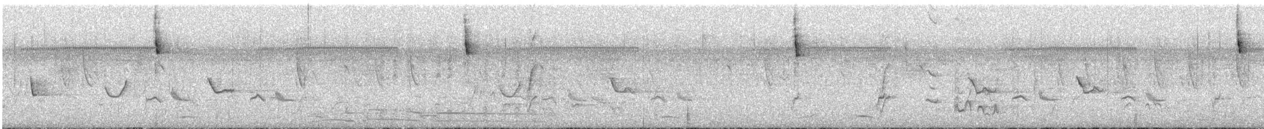 ヒメショウビン - ML611148582