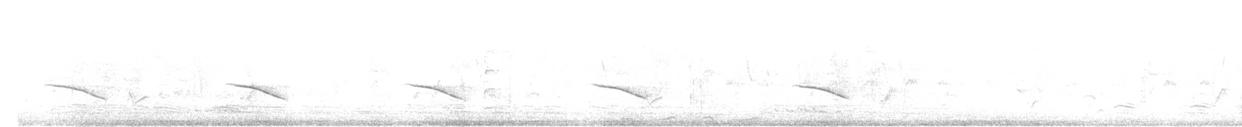 Horsfield's Bronze-Cuckoo - ML611150152