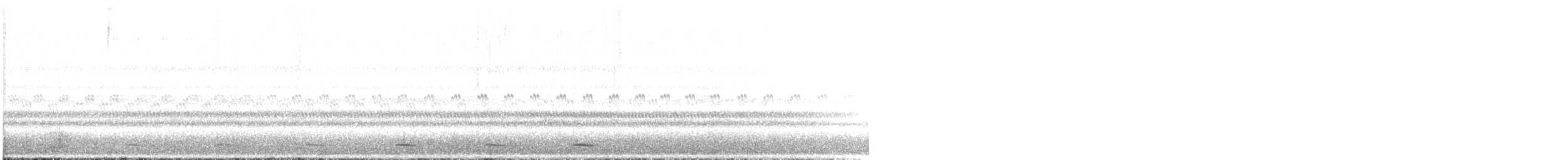 kulíšek mexický (ssp. gnoma) - ML611150732