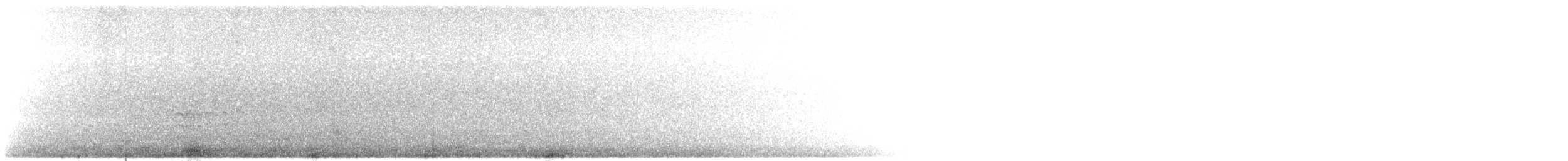 Sittelle à poitrine blanche (aculeata/alexandrae) - ML611152333