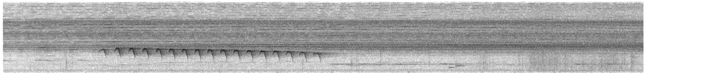 Olivschulter-Ameisenschnäpper - ML611154719