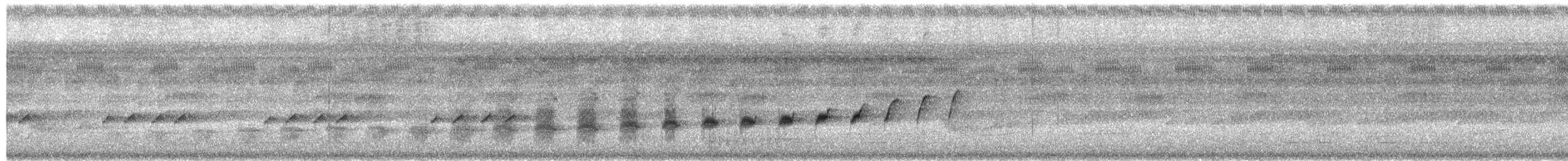 Bauchflecken-Ameisenvogel - ML611154772