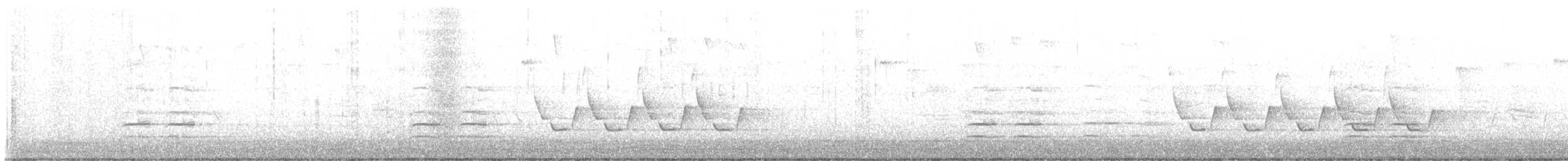 Carolina Wren - ML611161245