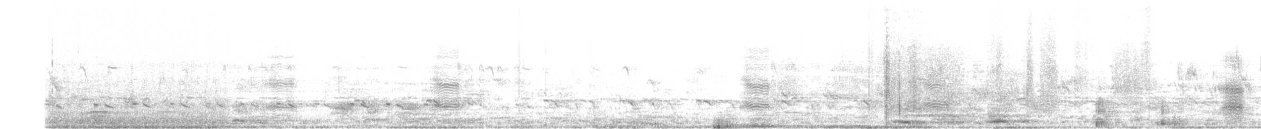 Large Gray Babbler - ML611161807