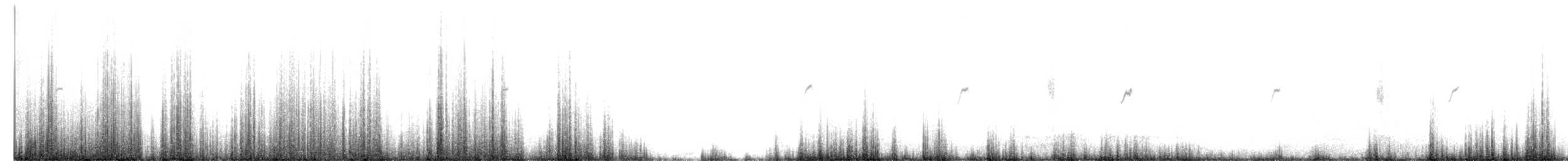דוחל שחור-גרון - ML611162754