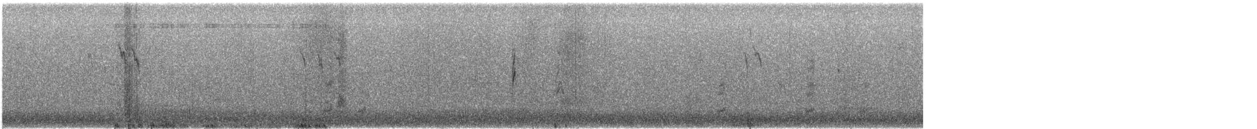 Spioncello del Pacifico - ML611167458