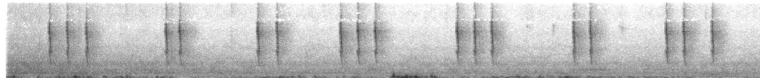 Troglodyte de Baird - ML611171672
