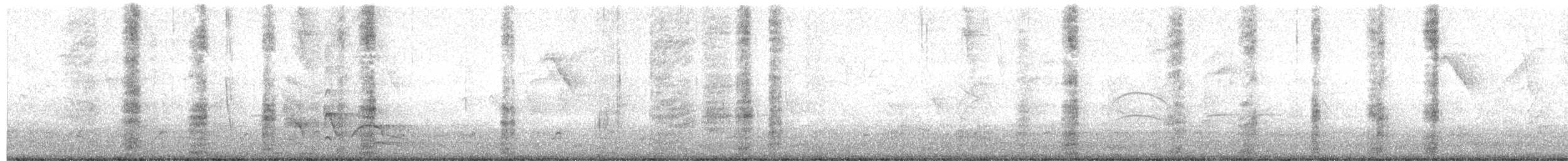 Moschusente (domestiziert) - ML611179095