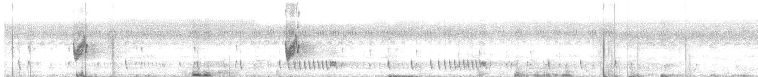Savannennachtschwalbe - ML611187358