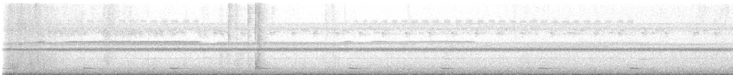 Şeritli Kestane Yelvesi - ML611190076