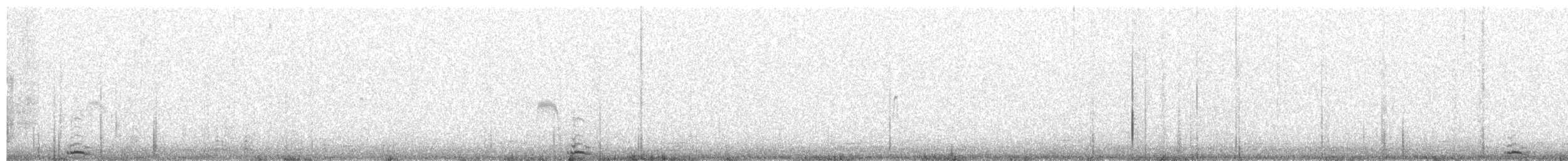 Cygne siffleur - ML61119041