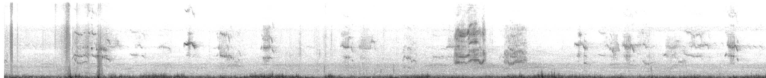 Lesser Crested Tern - ML611190867