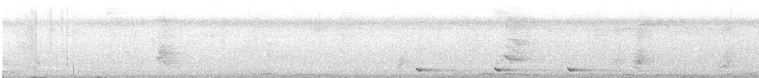 Бронзовый плодовый голубь (oenothorax) - ML611192928
