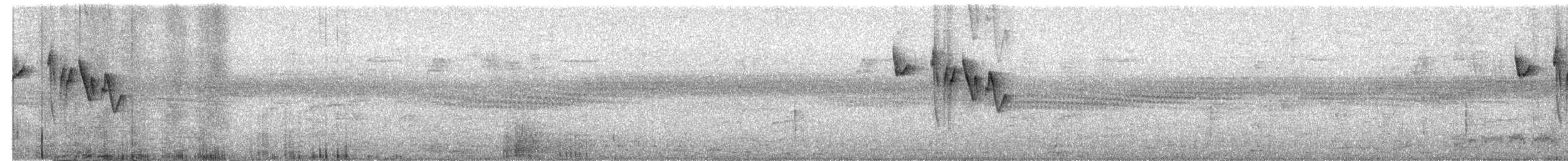 Gri Böğürlü Kamışbülbülü - ML611193880