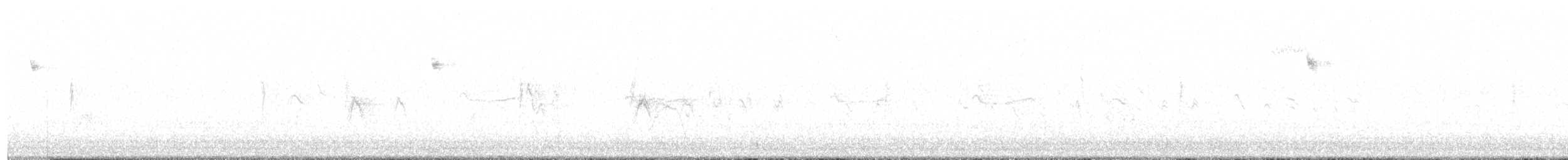 סבכון אורנים - ML611194629