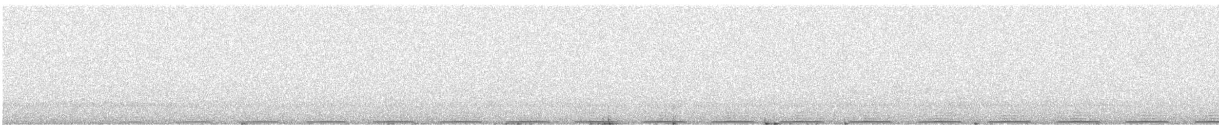 Avustralya Kocaağzı - ML611195101