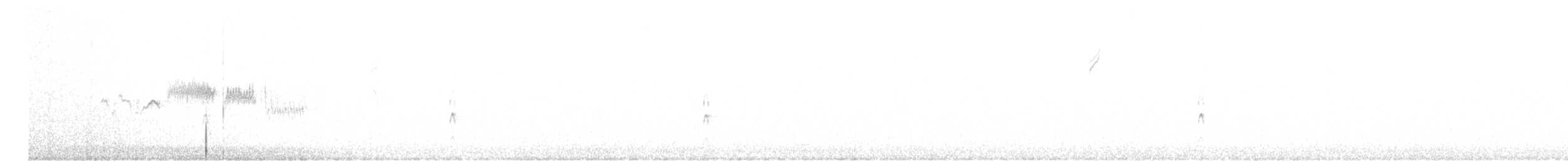 Couch's Kingbird - ML611203158