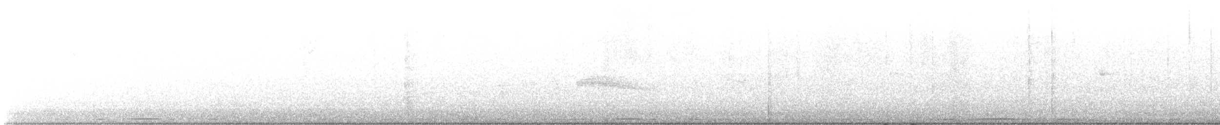 Eurasian Collared-Dove - ML611204891