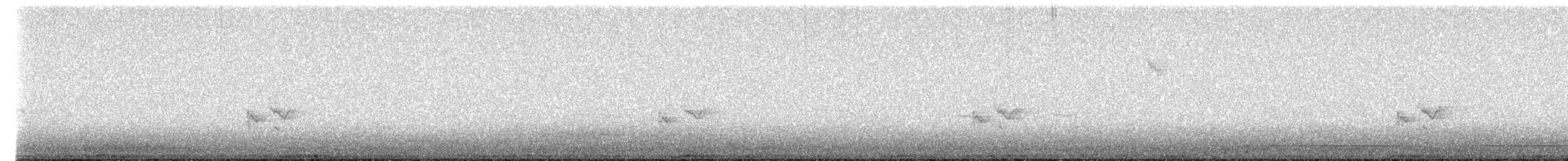 Amerika Çütresi (purpureus) - ML611205836