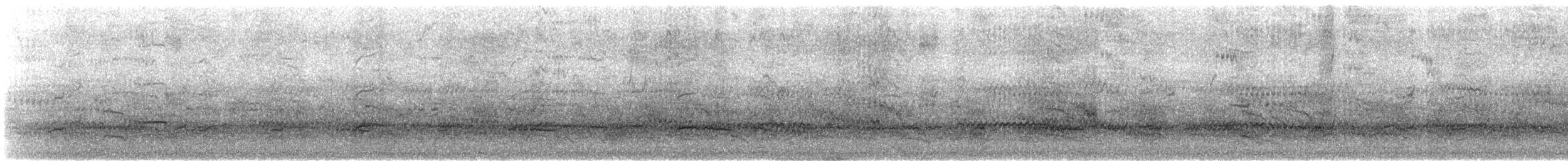 Cassin's Auklet - ML611206248