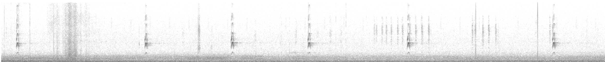 Tyran de Couch - ML611208375