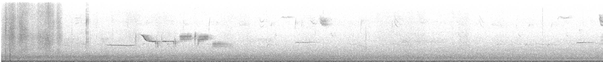 strnadec bělopásý - ML611208849