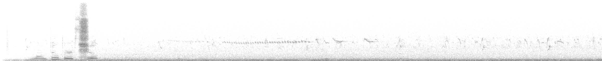 Bécasseau sanderling - ML611210949