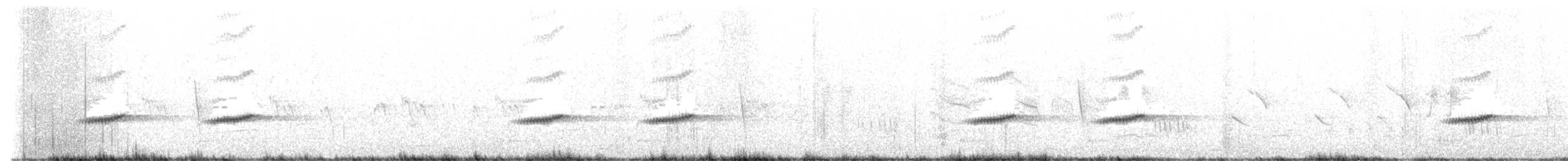 Barred Wren-Warbler - ML611222521