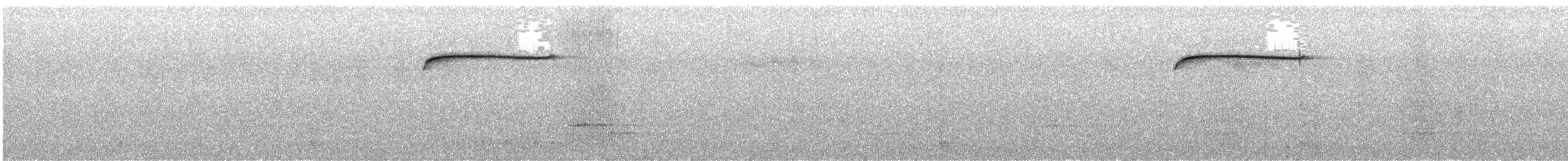 Spotted Quail-thrush - ML611225062