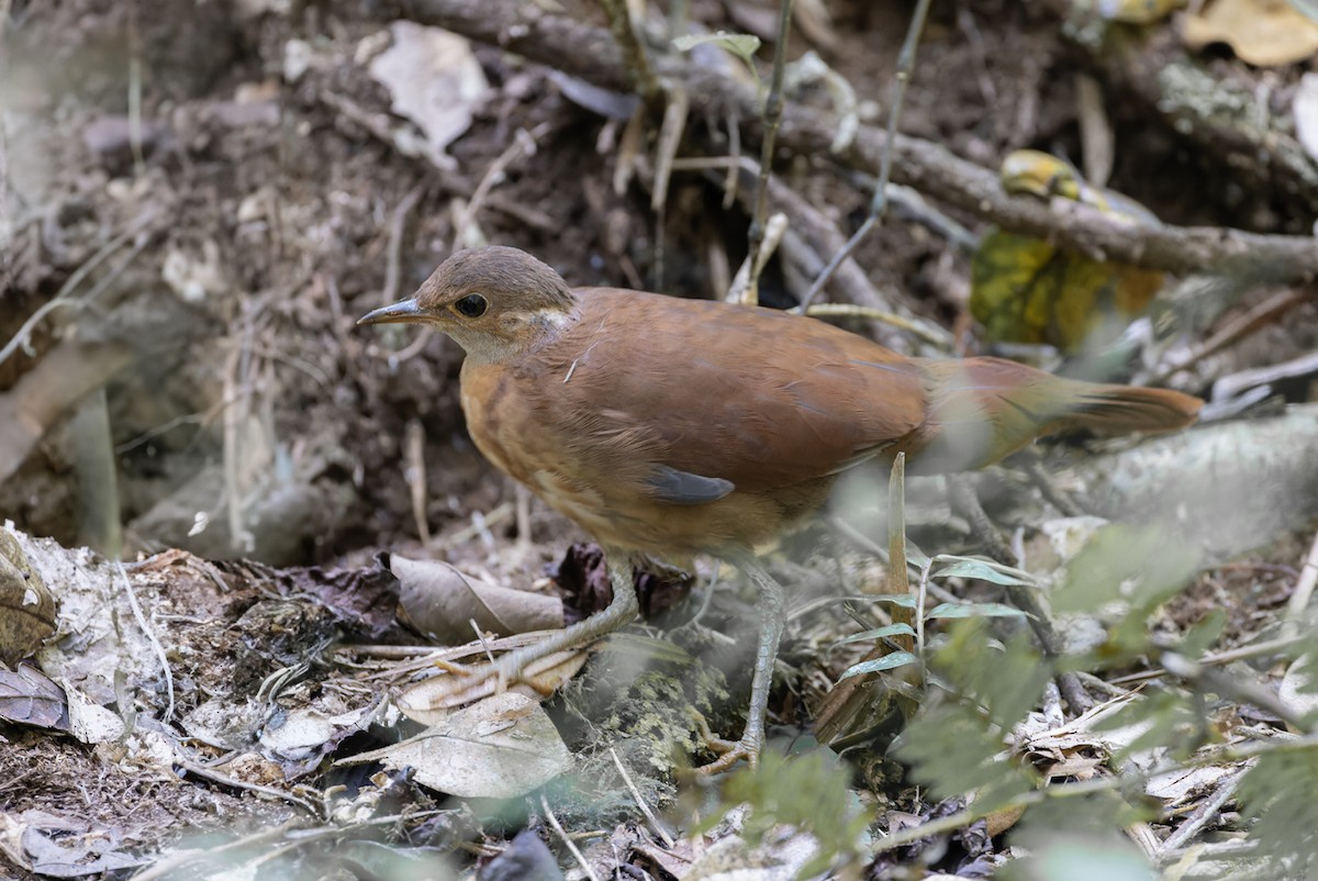 Mesito Unicolor - ML611225533