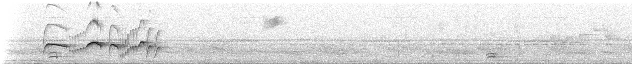 Atlantik Karınca Tiranı - ML611227248