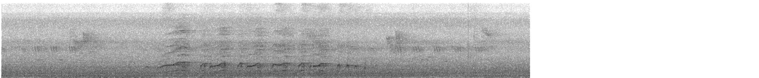 Malabar Gray Hornbill - ML611229979