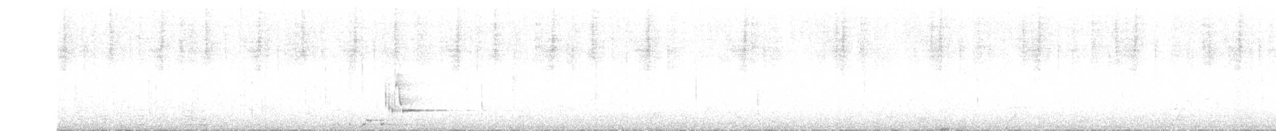 Breithauben-Stirnvogel [angustifrons-Gruppe] - ML611231081