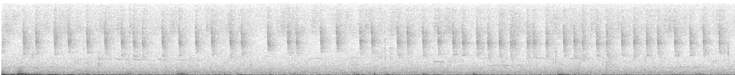 Зелоногрудый фиалкоух (cyanotus/crissalis) - ML611231258