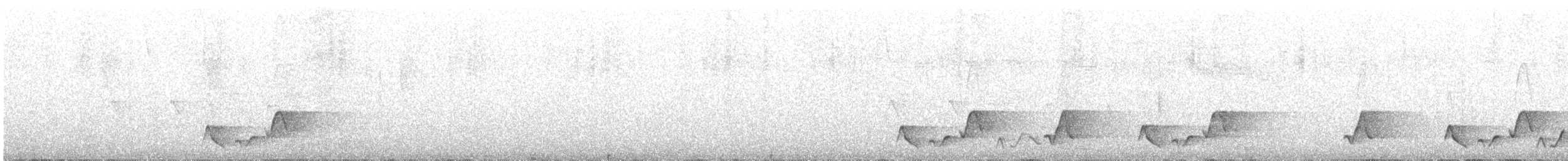 gråbrystskogsmett (leucophrys/boliviana) - ML611231604