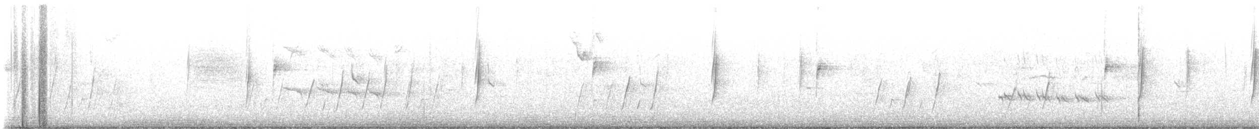 ネズミメジロハエトリ - ML611240022