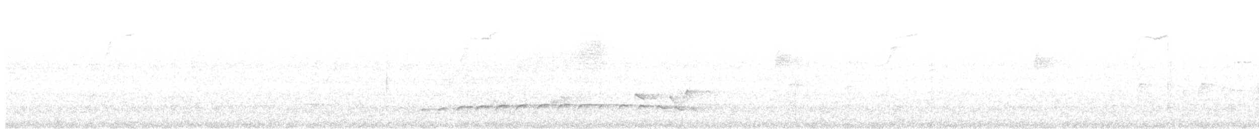 Fleckenbrust-Ameisenvogel - ML611241677