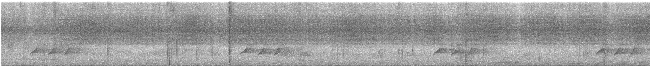 Dusky Long-tailed Cuckoo - ML611242561
