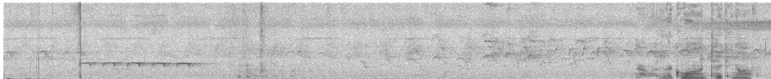 Weißbinden-Ameisenvogel - ML611243005