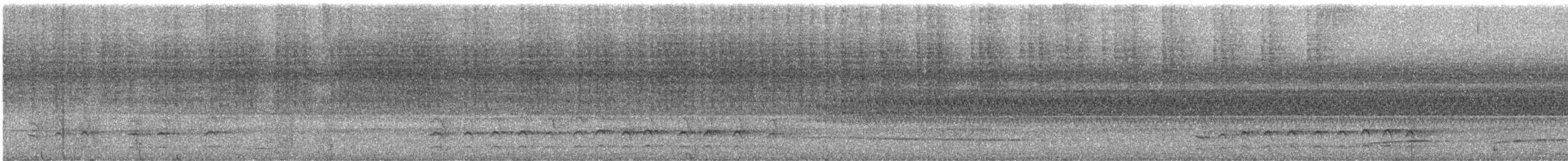 Серогорлый никатор - ML611243551
