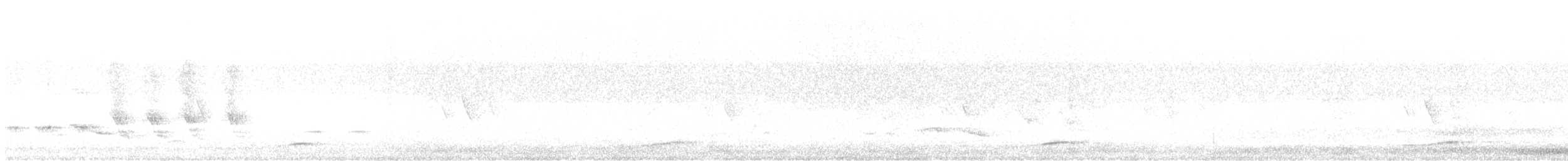 Coucou bleuté - ML611246648