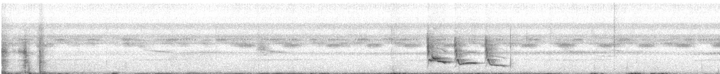 Troglodyte moine - ML611247804