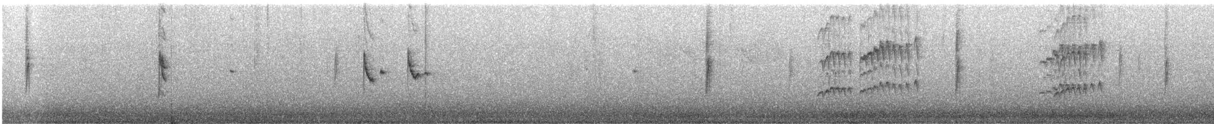Anteojitos de Swinhoe - ML611255128