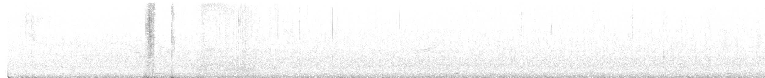 Сова-голконіг австралійська - ML611258463