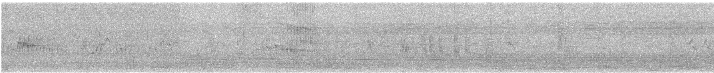 ヒメアマツバメ - ML611260443