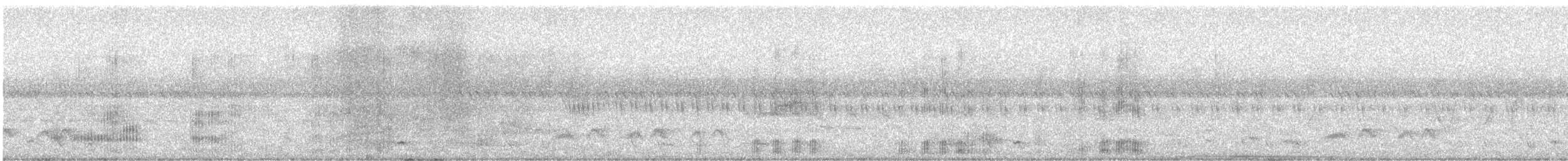 Pied Heron - ML611260626