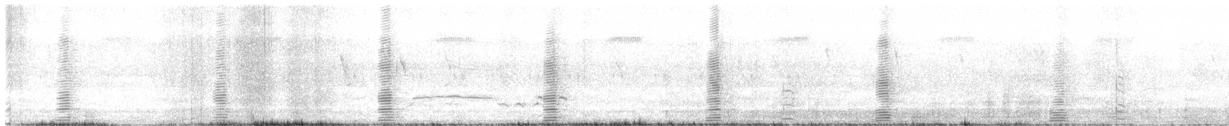 husovec strakatý - ML611261125