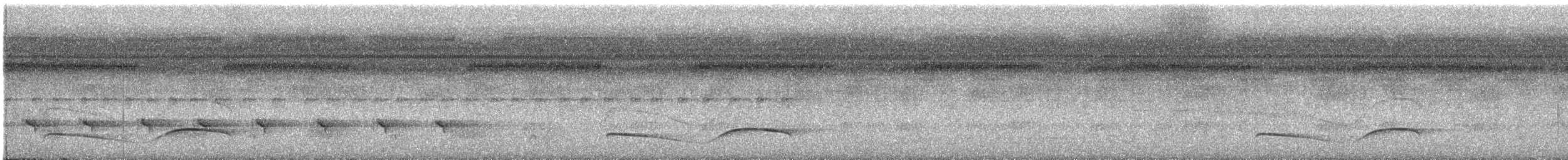 Тиран-плоскодзьоб темнохвостий - ML611263951