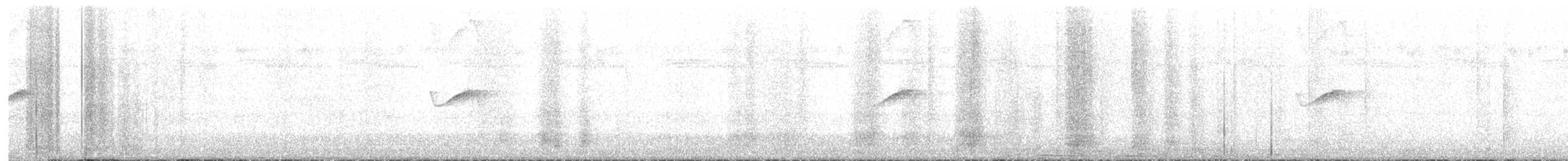 Weißschwanz-Nachtschwalbe - ML611264969