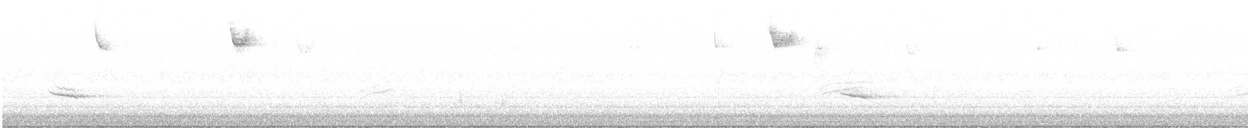 Белогорлая зонотрихия - ML611266042